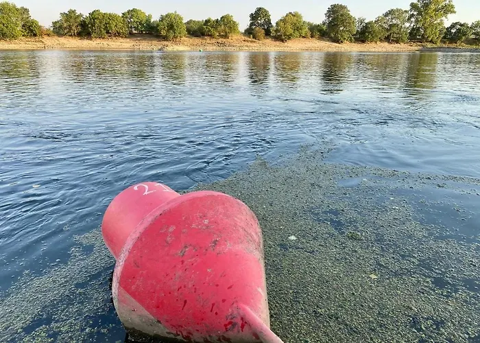 度假居 Loirizon Vue Loire 4 Personnes